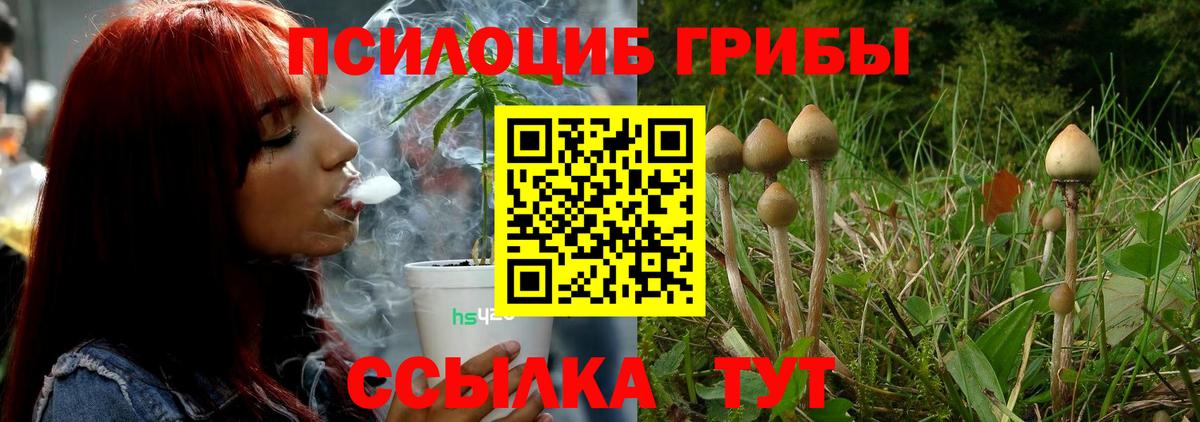 Галлюциногенные грибы Magic Shrooms Полевской