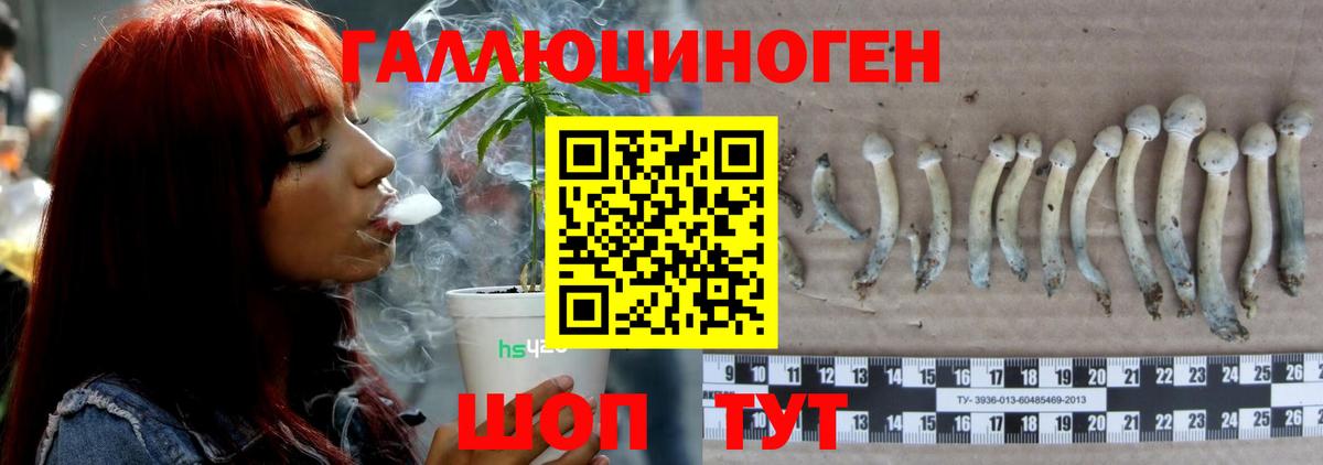 Псилоцибиновые грибы мухоморы  Вход с VPN  Полевской  Псилоцибиновые грибы MAGIC MUSHROOMS 